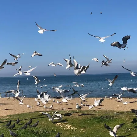 Yalova_merkez